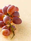 Close-up of grapes bunch