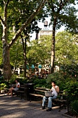 New York: Madison Sqare Park