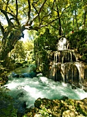 Antalya: Düden-Wasserfälle, Wald grün, sommerlich, malerisch