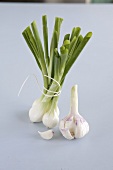 Spring onions and garlic on white background