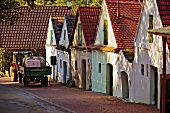 Kellergasse in Falkenstein, Weinviertel