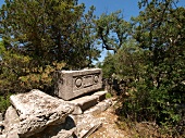 Ruins of Tomb at Termessos in Antalya Province, Turkey