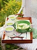 Cold potato leek soup and brunn watercress soup in cups, France