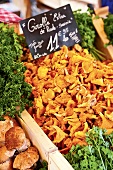 Frankreich, Marktstand mit Pilzen, Detailaufnahme