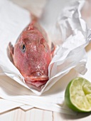 Close-up of whole raw fish on paper with half lime