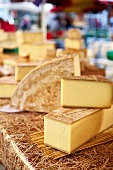Frankreich, Käse in der Warenauslage, Detailaufnahme