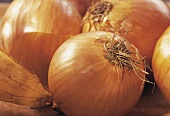 Close-up of onions