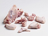 Poultry carcasses on white background