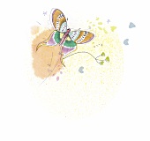 Illustration Schmetterling 