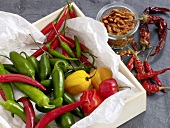 Various types of chilli peppers in box