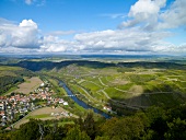 Blick auf die Luitpoldbrücke bei Oberhausen, Nahe, Weinanbaugebiet