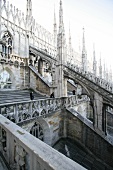 Mailänder Dom Duomo di Milano Kultur in Mailand