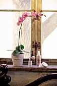 Kosmetika auf Fensterbrett vor Fenster neben Orchidee