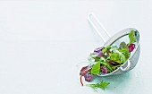 Gemischter Blattsalat in einem Küchensieb