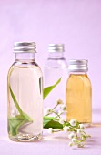 Aromatherapy glass bottles with essential oils and flowers scattered on purple background