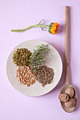 Various herbal medicines on plate, overhead view