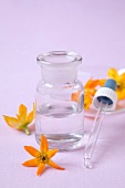 Bachblüten, Pipette, Glas, Blüten, orange