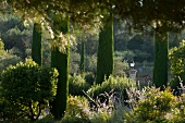 Garden at Chateau Saint-Martin & Spa in Vence, France