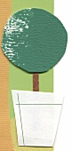 Illustration Buchsbaum im Blumentopf 