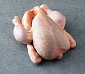 Raw chicken on gray background