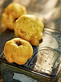 Close-up of quince on tin, garden kitchen