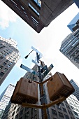 Upward view of skyscrapers and direction pole at Madison Avenue in New York, USA