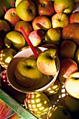 Close-up of apples