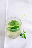 Mojito in glass