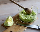 Shredded cabbage in bowl for preparation of tamp cabbage