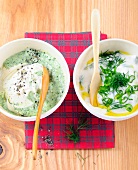 Mojo yogurt dip and tzatziki sauce with spring onions in bowls 