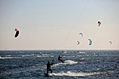 Ostseeküste: Fehmarn, Meer, Kite- surfer