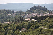 Landschaft in der Provence     X 