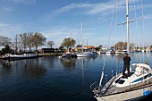 Boats moored on harbor, Baltic Coast, Schleswig-Holstein
