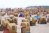 Hooded beach chairs on Baltic coast in Fehmarn, Schleswig-Holstein, Germany