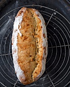 Brot, Buttermilch-Bananen-Brot