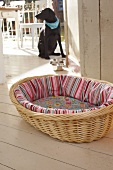 Dog basket with colourful cushions, dog in background