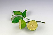 Halved lime with stalk and leaves on white background