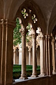 Kroatien: Dubrovnik, Altstadt, Dominikanerkloster, Säulen