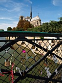Bridge with love castles overlooking Notre Dame cathedral, Paris, France