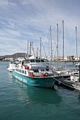 Hafen von Corralejo Fuerteventura Spanien