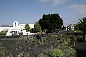 Fundación César Manrique Tahiche Lanzarote