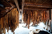Tanner leather hides hanged in Ulrich, Augsburg, Germany