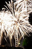 Fireworks in Paris, France