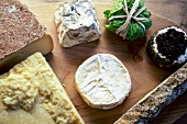 Various types of goat cheese on wood