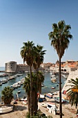 Boats moored at old harbour in Dubrovnik old town, Croatia