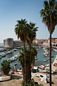 Boats moored at old harbour in Dubrovnik old town, Croatia