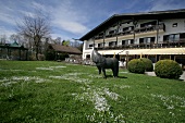 Alpenhof Murnau-Hotel Murnau Bayern