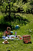 Picnic with picnic basket, hat, blanket and ball in garden