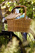 Wicker picnic basket on bicycle