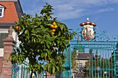 Coat of arms on top of gate in Castle Park, Bad Homburg, Germany